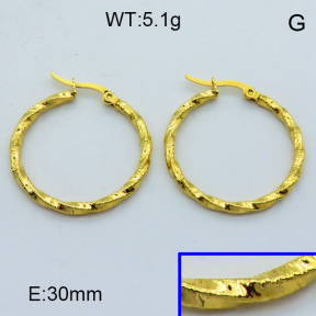 SS Hoop Earring 3E2004316aahl-703