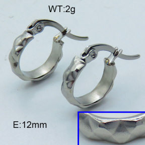 SS Hoop Earring 3E2004322vabp-703