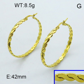 SS Hoop Earring 3E2004333aajl-703