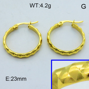 SS Hoop Earring 3E2004335aahi-703