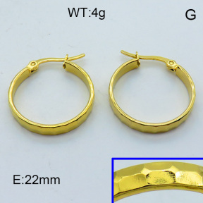 SS Hoop Earring 3E2004339aahi-703