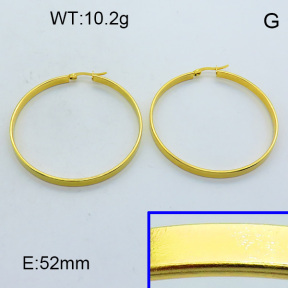 SS Hoop Earring 3E2004359aaho-703