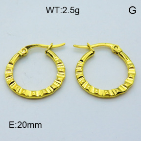 SS Hoop Earring 3E2004382aahi-703