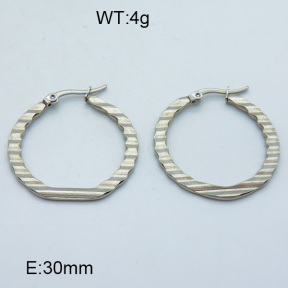 SS Hoop Earring 3E2004403aaha-703