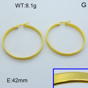 SS Hoop Earring 3E2004417aaho-703