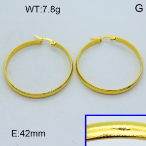 SS Hoop Earring 3E2004423aaho-703