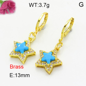 Fashion Brass Earrings  F3E402441vbnb-L002