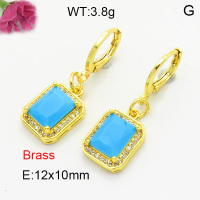 Fashion Brass Earrings  F3E402445vbnb-L002