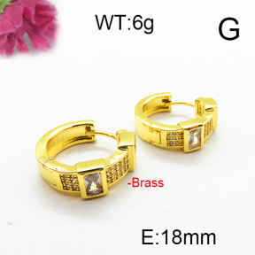 Fashion Brass Earrings  F6E403148vhmv-J40