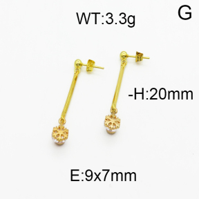 SS Earrings  5E4000232baka-698