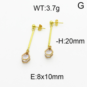 SS Earrings  5E4000235baka-698