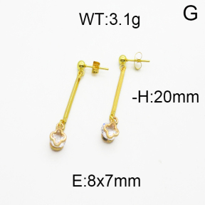 SS Earrings  5E4000237baka-698