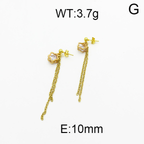 SS Earrings  5E4000242baka-698
