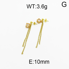 SS Earrings  5E4000245baka-698