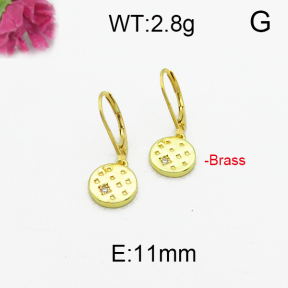 Fashion Brass Earrings  F5E400090bbov-J125