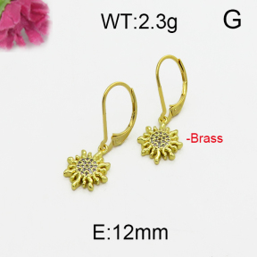 Fashion Brass Earrings  F5E400102bbov-J125
