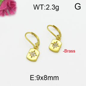 Fashion Brass Earrings  F5E400115bbov-J125
