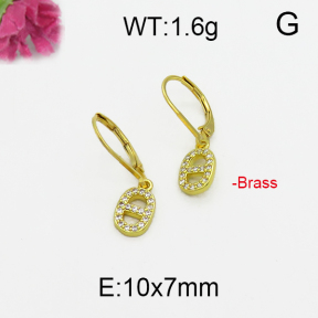 Fashion Brass Earrings  F5E400130bbov-J125