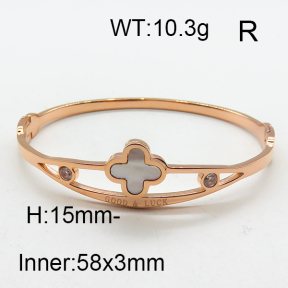 SS Bangle  6BA401328ahlv-613