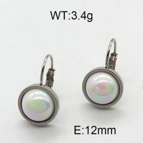 SS Earrings  6E3002300aain-420