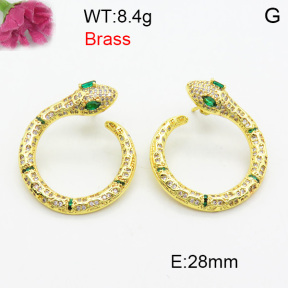 Fashion Brass Earrings  F3E402447aivb-J40