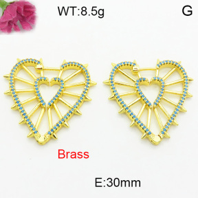 Fashion Brass Earrings  F3E402451aivb-J40