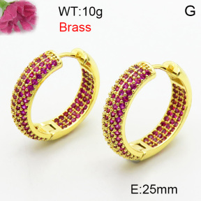 Fashion Brass Earrings  F3E402458biib-J40