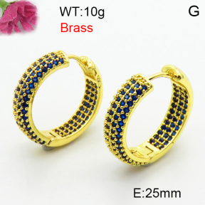 Fashion Brass Earrings  F3E402459biib-J40