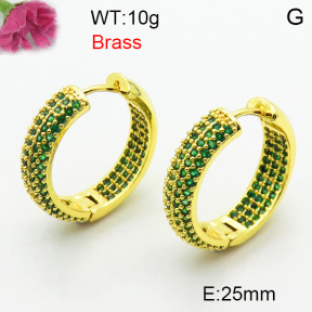Fashion Brass Earrings  F3E402460biib-J40