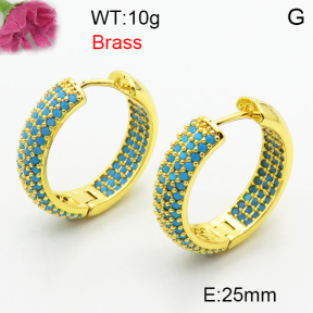 Fashion Brass Earrings  F3E402461biib-J40