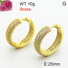 Fashion Brass Earrings  F3E402462aivb-J40