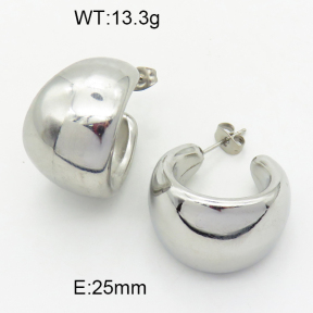 SS Earrings  3E2004643vhkb-066