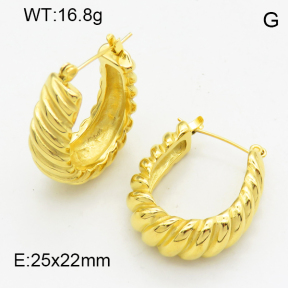 SS Earrings  3E2004660vhkb-066