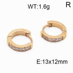 SS Earrings  5E4000291vhha-259