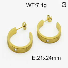 SS Earrings  5E4000300bhva-669