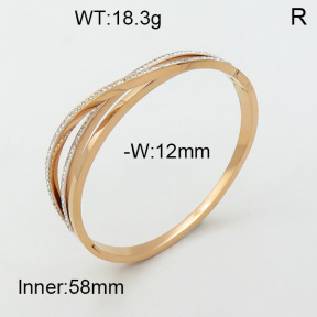 SS Bangle  3BA4001434vhov-617