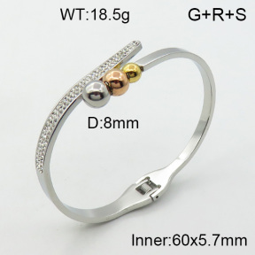 SS Bangle  3BA4001450vhov-617