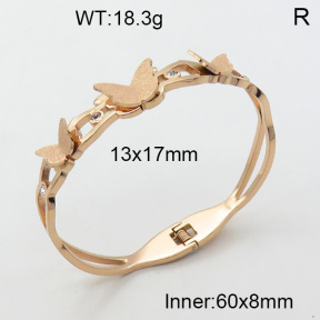 SS Bangle  3BA4001452vhov-617