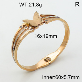 SS Bangle  3BA4001455vhov-617