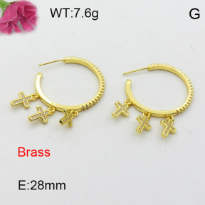 Fashion Brass Earrings  F3E402464bhia-L017