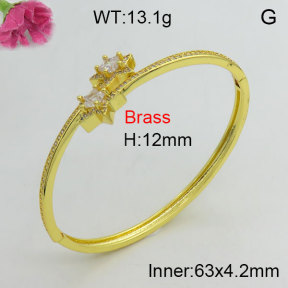 Fashion Brass Bangle  F3BA40931biib-J111