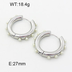 SS Earrings  3E3001348bhia-066