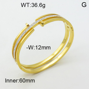 SS Bangles  TZ3001335ahpv-617