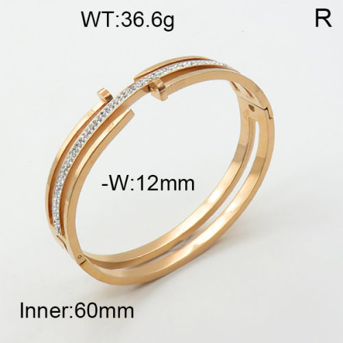 SS Bangles  TZ3001336ahpv-617