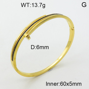 SS Bangles  TZ3001341vhml-617