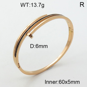 SS Bangles  TZ3001342vhml-617