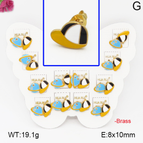 Fashion Brass Earrings  F5E300025vhmv-K01