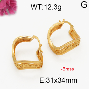 Fashion Brass Earrings  F5E200018vbpb-J131