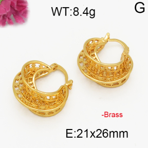 Fashion Brass Earrings  F5E200020abol-J131