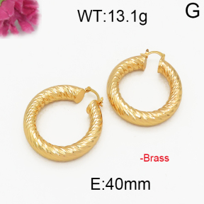 Fashion Brass Earrings  F5E200022vbpb-J131